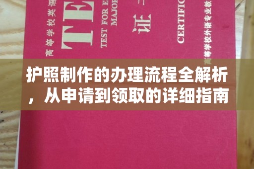 赞皇护照制作的办理流程全解析，从申请到领取的详细指南